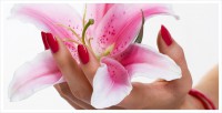 /album/wellness-manikura/uvod-img-jpg/